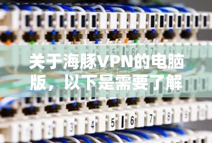 关于海豚VPN的电脑版,以下是需要了解的关键信息和建议