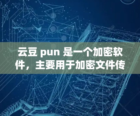 云豆 pun 是一个加密软件,主要用于加密文件传输。如果用户找不到或无法登录云豆 pun,可能是由于以下原因