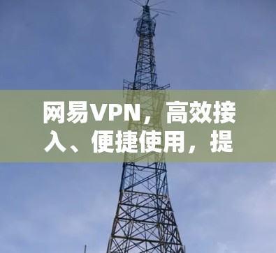网易VPN,高效接入、便捷使用,提升网络舒适度