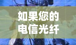 如果您的电信光纤被限制用于VPN，可能是因为美国联邦通信与信息中心（FTC）禁止了VPN服务。以下是可能的原因和解决办法