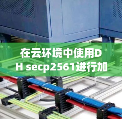 在云环境中使用DH secp2561进行加密通信，是一种基于椭圆曲线密码学的协议，旨在提供 secure communication。以下是详细的步骤和注意事项
