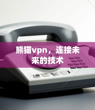 熊猫vpn,连接未来的技术