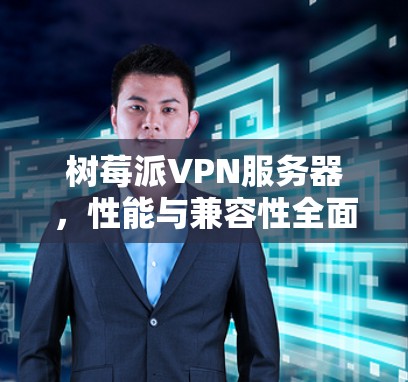 树莓派VPN服务器,性能与兼容性全面解析