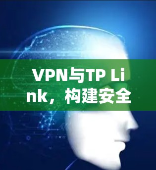 VPN与TP Link,构建安全的通信网络