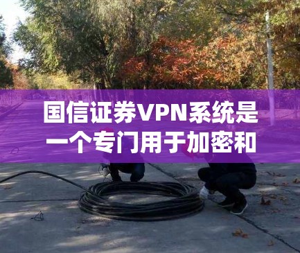 国信证券VPN系统是一个专门用于加密和管理证券交易数据的网络服务，旨在保障证券交易的安全性。以下是该系统的详细信息