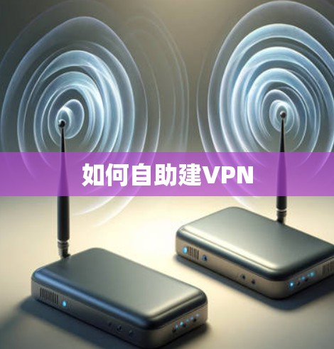 如何自助建VPN 如何自助建VPN