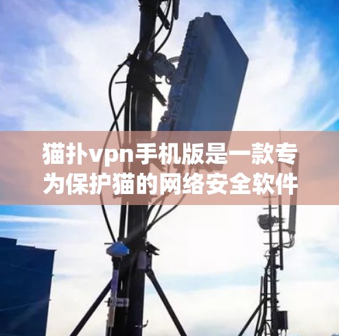 猫扑vpn手机版是一款专为保护猫的网络安全软件，旨在防止恶意软件和病毒的传播。它通过多种安全措施来保护用户，包括杀毒功能、网络流量监控和防火墙配置。以下是关于猫扑vpn手机版的详细介绍