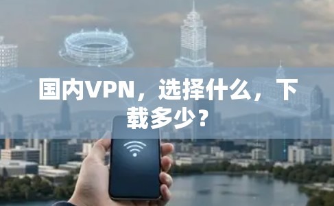 国内VPN,选择什么,下载多少?