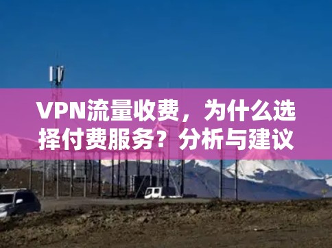 VPN流量收费,为什么选择付费服务?分析与建议