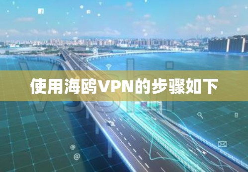 使用海鸥VPN的步骤如下 使用海鸥VPN的步骤如下