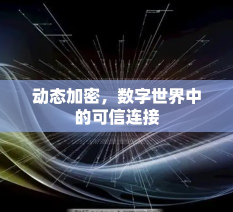 动态加密,数字世界中的可信连接 动态加密,数字世界中的可信连接