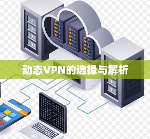 动态VPN的选择与解析 动态VPN的选择与解析