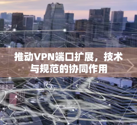 推动VPN端口扩展,技术与规范的协同作用
