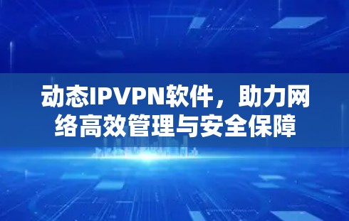 动态IPVPN软件,助力网络高效管理与安全保障 动态IPVPN软件,助力网络高效管理与安全保障