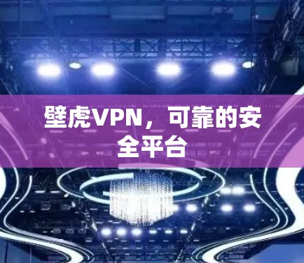 壁虎VPN,可靠的安全平台 壁虎VPN,可靠的安全平台