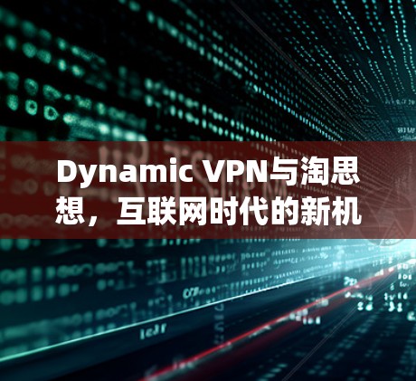 Dynamic VPN与淘思想,互联网时代的新机遇 Dynamic VPN与淘思想,互联网时代的新机遇