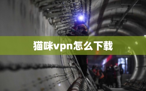 猫咪vpn怎么下载 猫咪vpn怎么下载