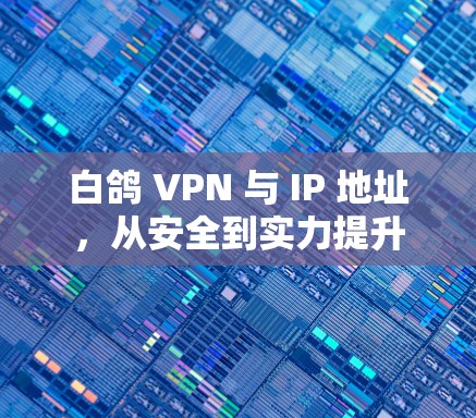 白鸽 VPN 与 IP 地址，从安全到实力提升