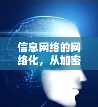 信息网络的网络化,从加密到连接的未来 信息网络的网络化,从加密到连接的未来