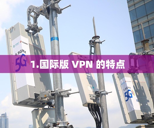 1.国际版 VPN 的特点 1.国际版 VPN 的特点