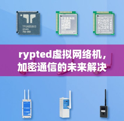 rypted虚拟网络机,加密通信的未来解决方案 rypted虚拟网络机,加密通信的未来解决方案