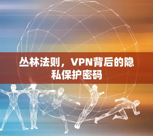 丛林法则,VPN背后的隐私保护密码 丛林法则,VPN背后的隐私保护密码