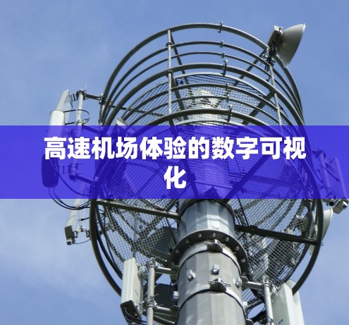 高速机场体验的数字可视化 高速机场体验的数字可视化