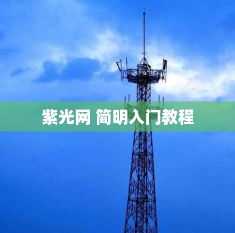 紫光网 简明入门教程 紫光网 简明入门教程