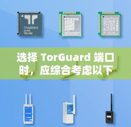 选择 TorGuard 端口时，应综合考虑以下因素