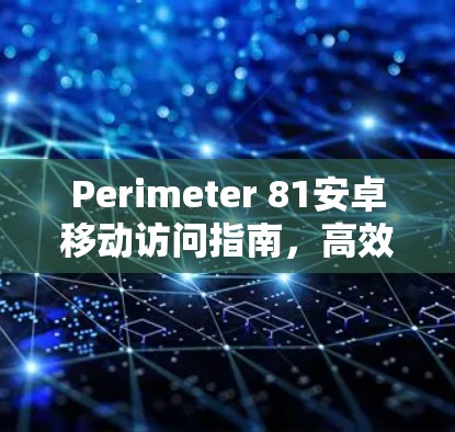 Perimeter 81安卓移动访问指南,高效安全,防止恶意活动的全面解决方案