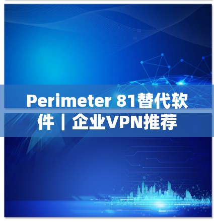 Perimeter 81替代软件|企业VPN推荐