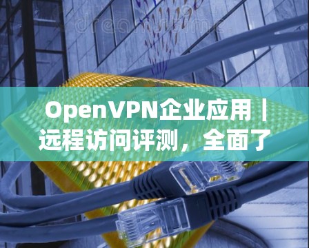 OpenVPN企业应用|远程访问评测,全面了解其安全性与用户体验