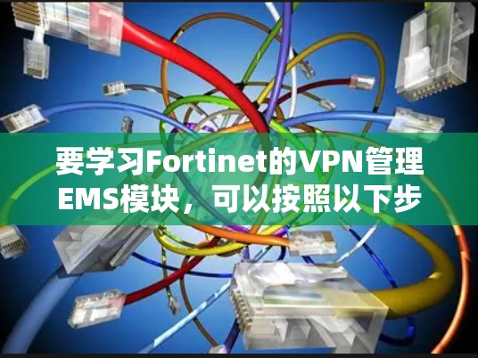 要学习Fortinet的VPN管理EMS模块,可以按照以下步骤进行