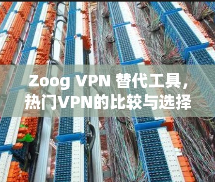 Zoog VPN 替代工具,热门VPN的比较与选择指南