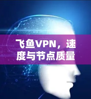 飞鱼VPN,速度与节点质量的双重挑战
