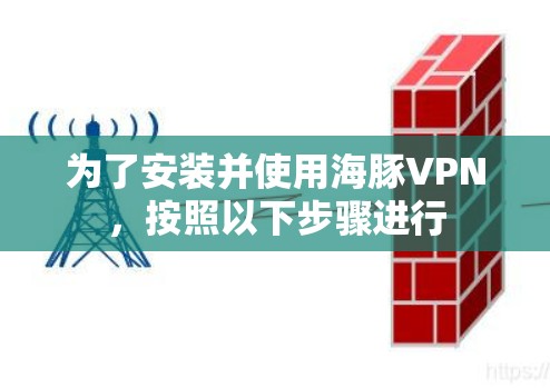 为了安装并使用海豚VPN,按照以下步骤进行