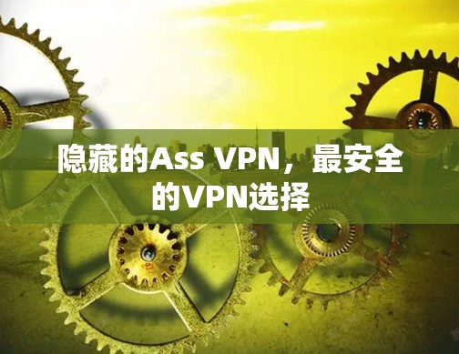 隐藏的Ass VPN，最安全的VPN选择
